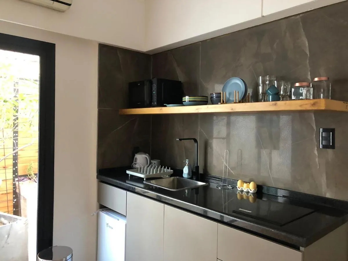 A Estrenar- Diseno Exclusivo - Inmejorable Ubicacion Apartment Mendoza Argentina